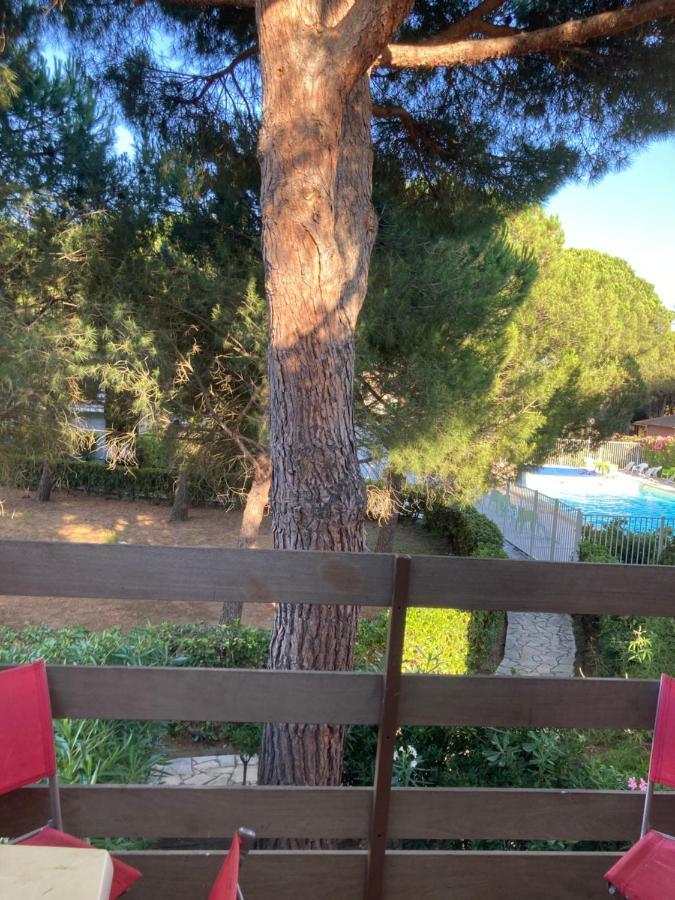 Residence Piscine Proche Village Naturiste - Pinede Agde Bagian luar foto